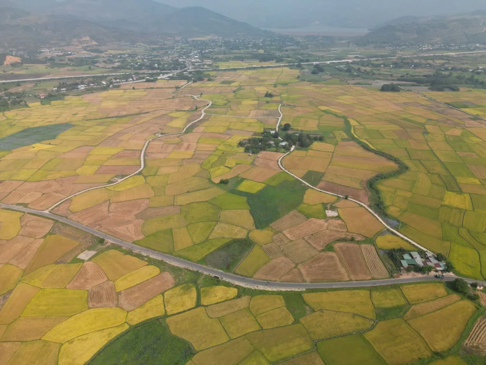 Kho gạo của Huỳnh Văn Đạt